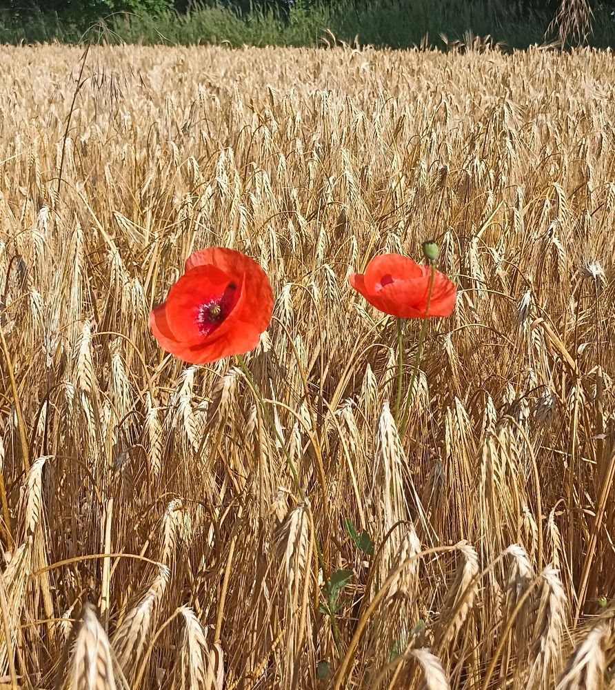 Photograph by Иван Левин