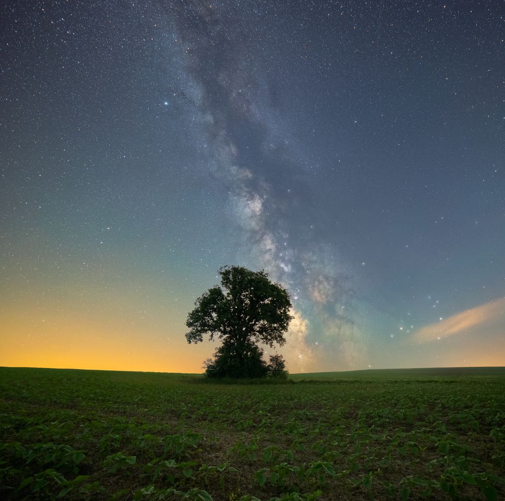 Фотография автора Lyuboslav Bochev