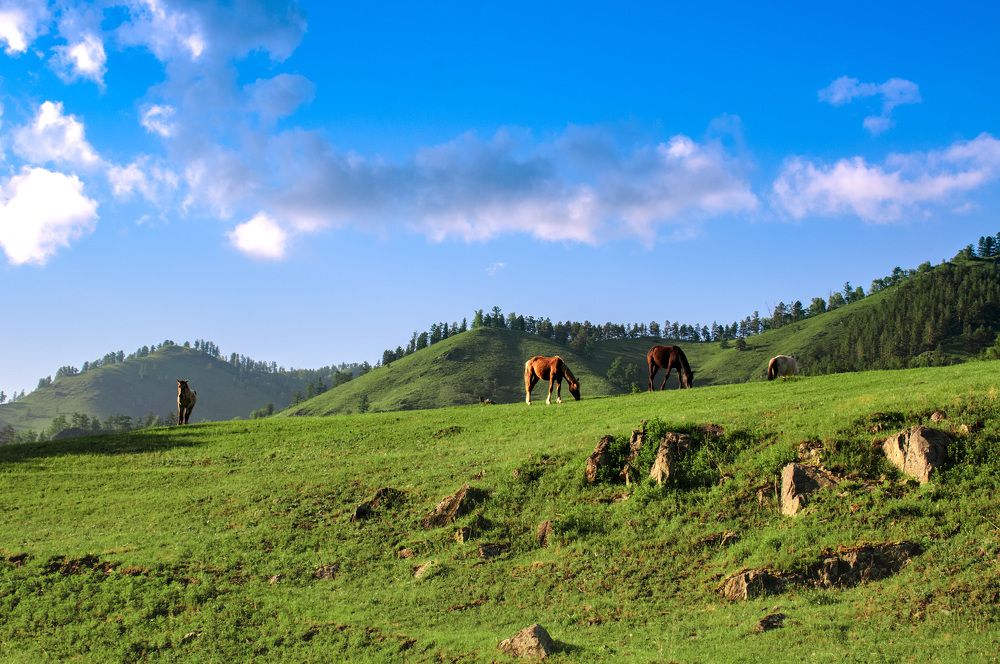 Photograph by Владимир Янчук