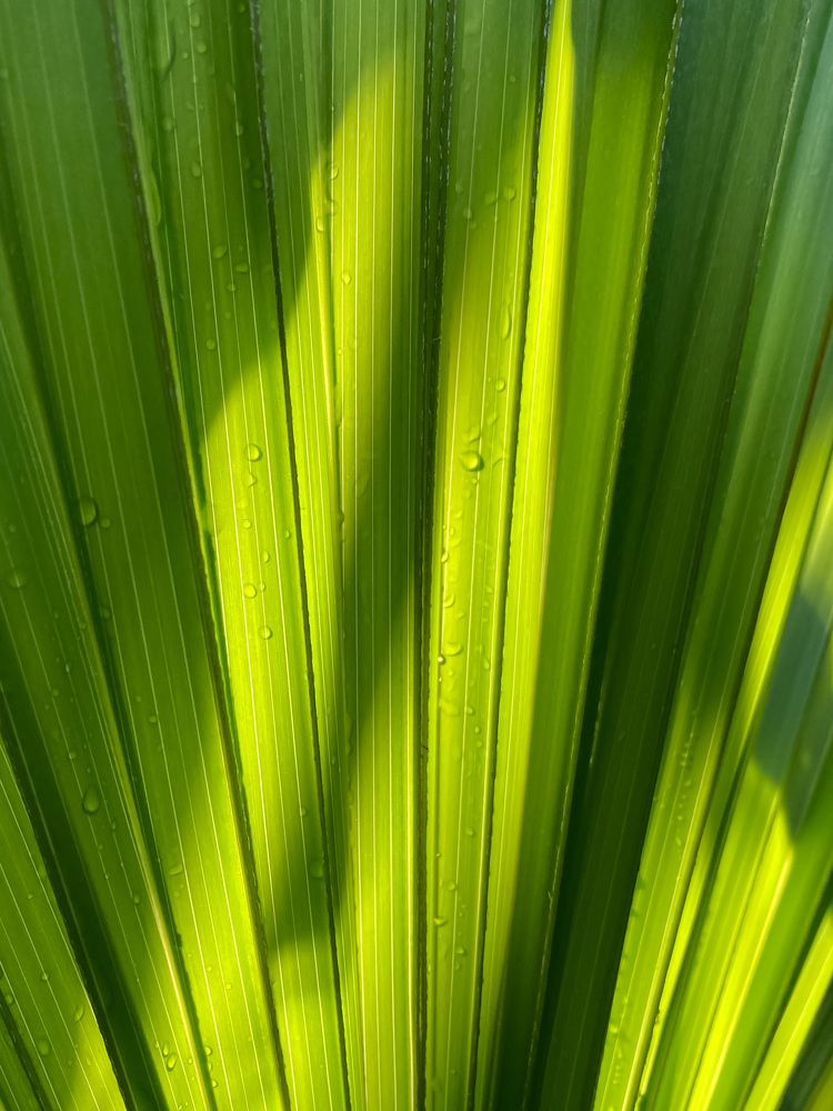 Photograph by Людмила Коныгина