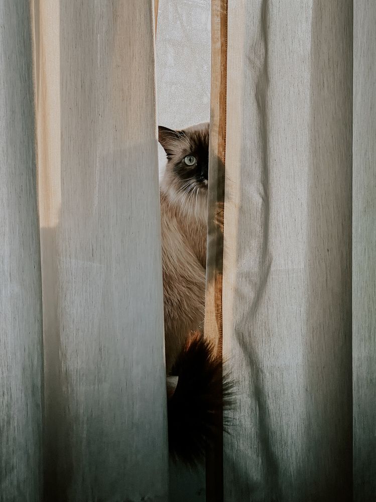 Photograph by Юлия Бирюкова