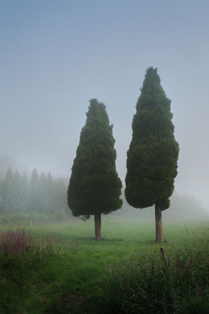 Photograph by Панфилов Илья