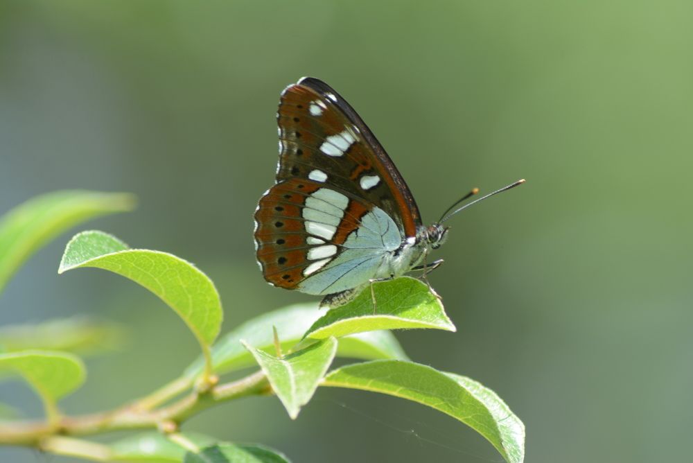 Photograph by Gülşen  Mutlu