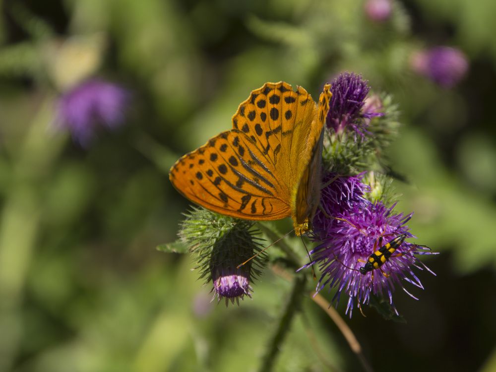 Photograph by Алексей Крукович