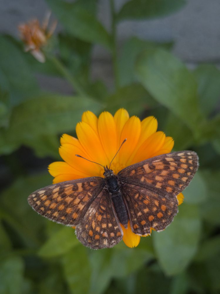 Photograph by Алексей Крукович