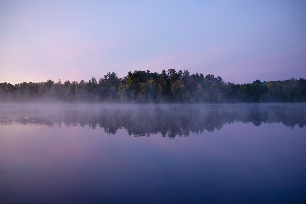Photograph by Алёна Таланова