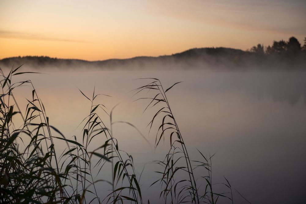 Photograph by Алёна Таланова