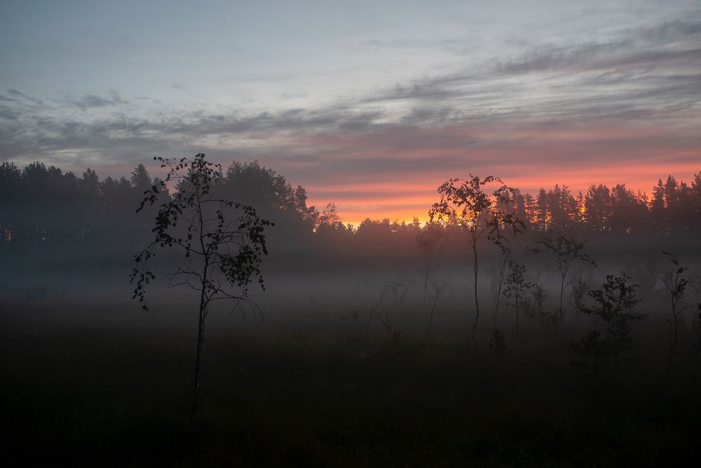 Photograph by Алёна Таланова