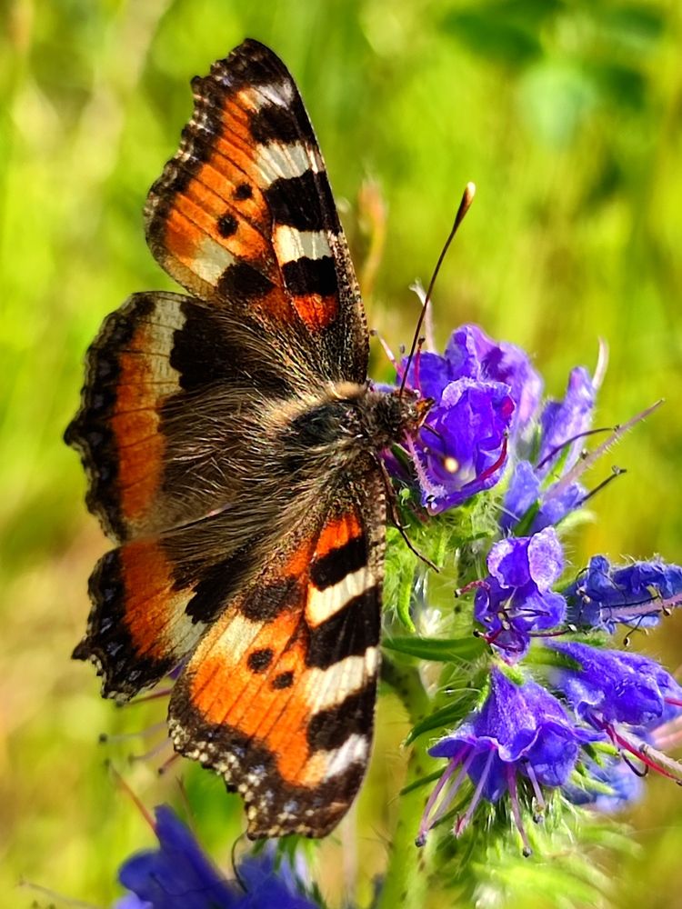 Photograph by Лолита Богачева