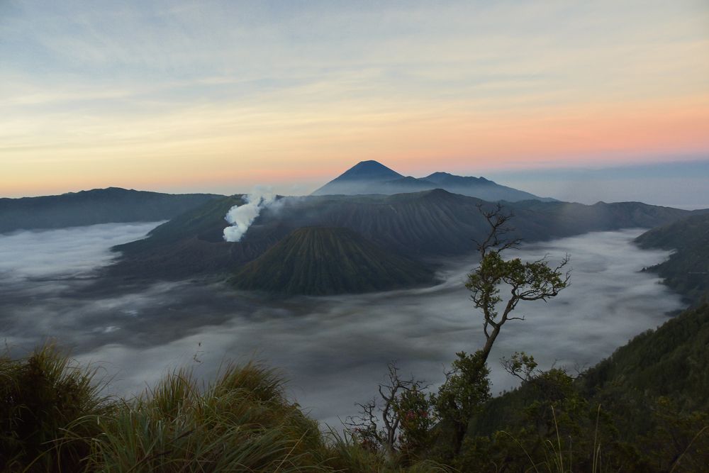 Photograph by dodhoy cikuray