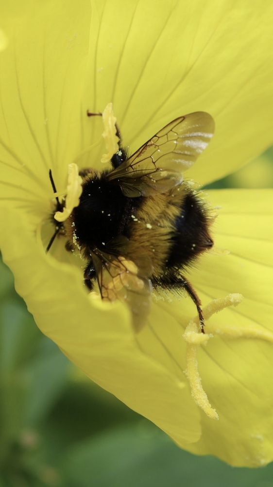 Photograph by Инна Дрокина