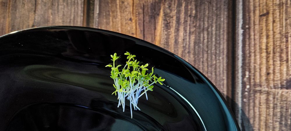 Photograph by Иван Коваленко