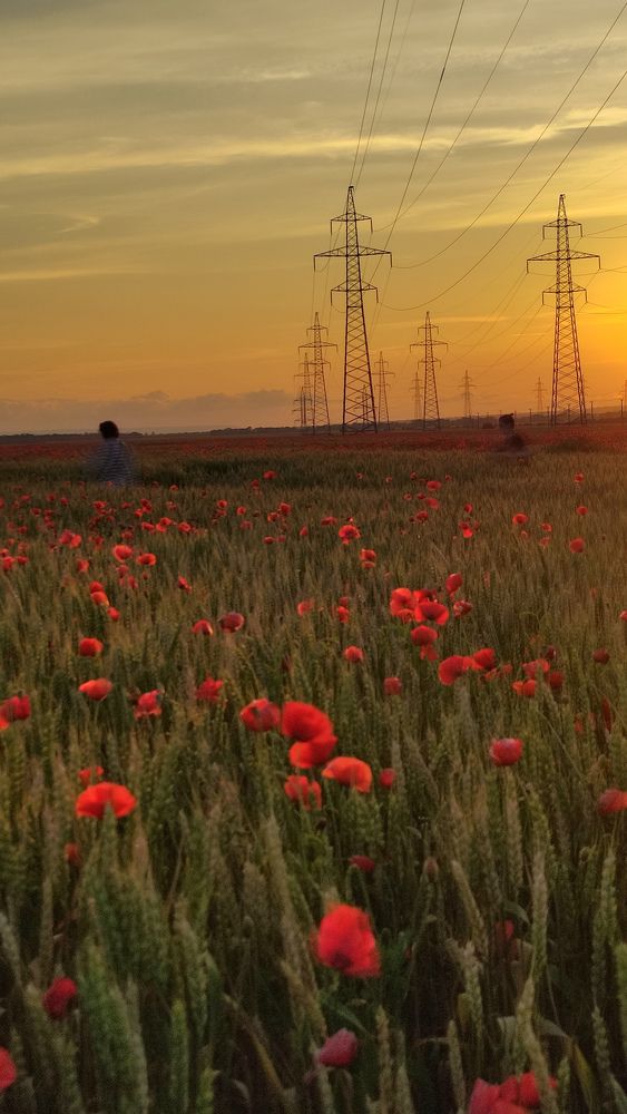 Photograph by Виктория Вялкова