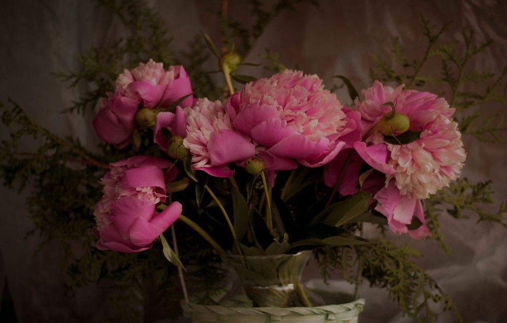 Photograph by Татьяна Гатиятуллина