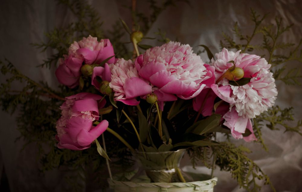 Photograph by Татьяна Гатиятуллина