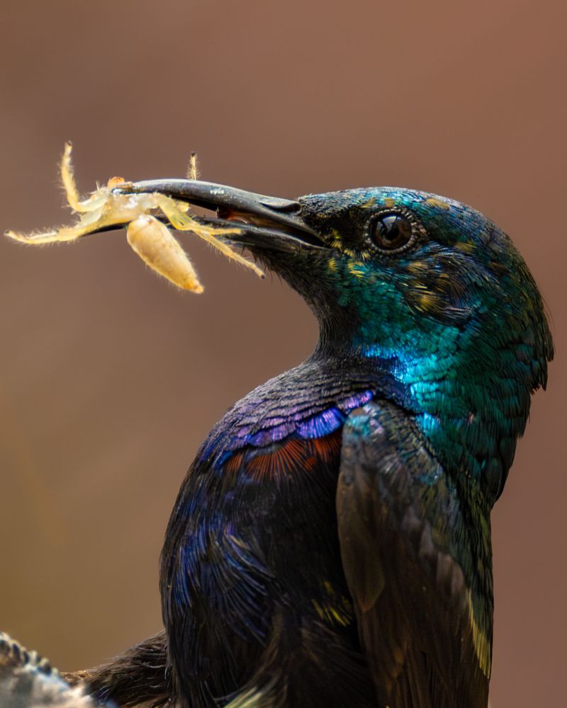 Photograph by Rahul Khadiwala