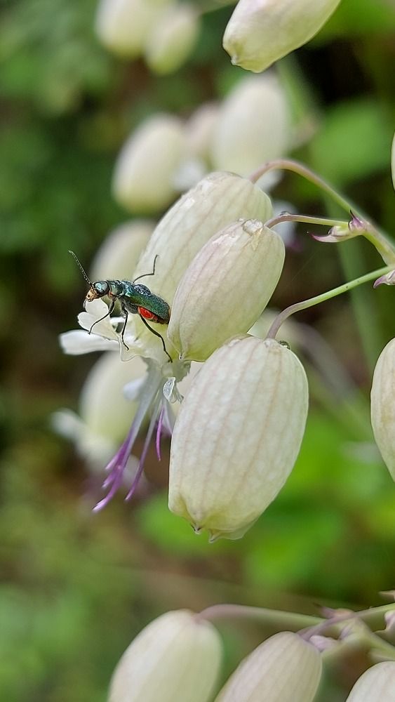 Photograph by Viktorova