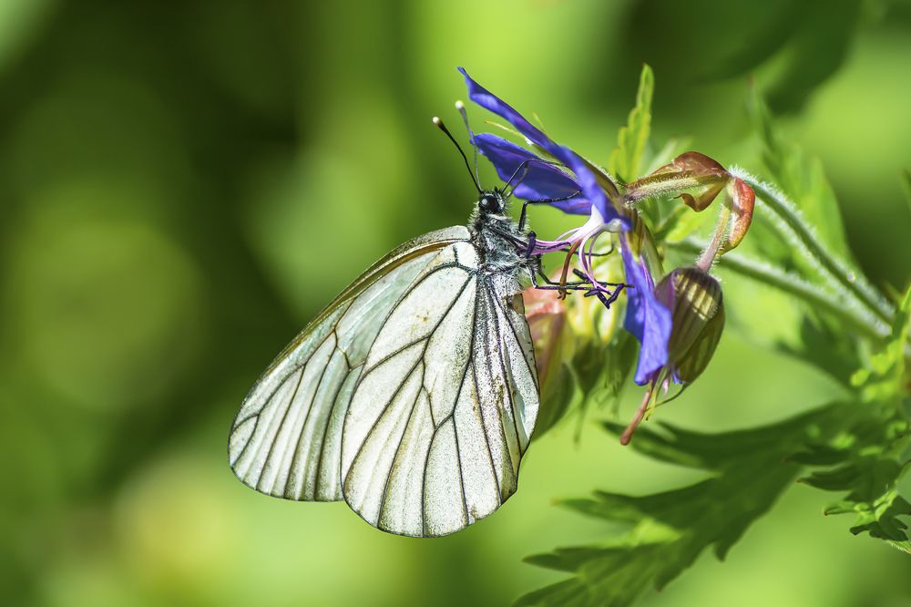 Photograph by сергей поспелов