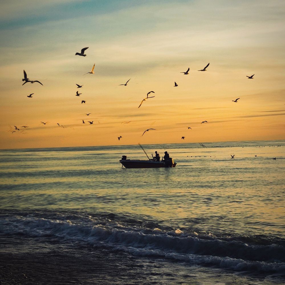 Photograph by Виктория Вялкова
