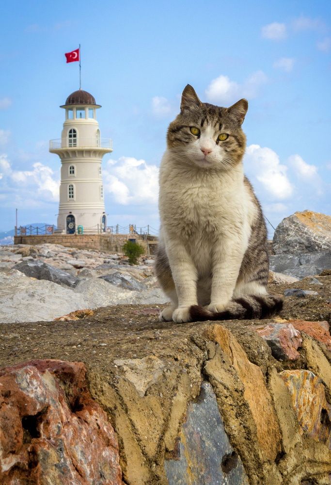 Смотритель маяка.