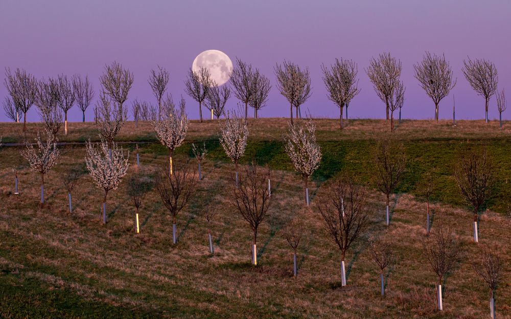 Photograph by Евгения Чех