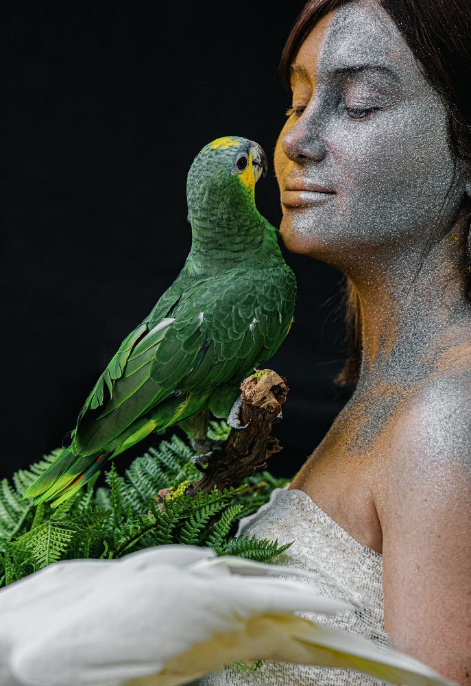 Фотография автора Jalal Ibrahim