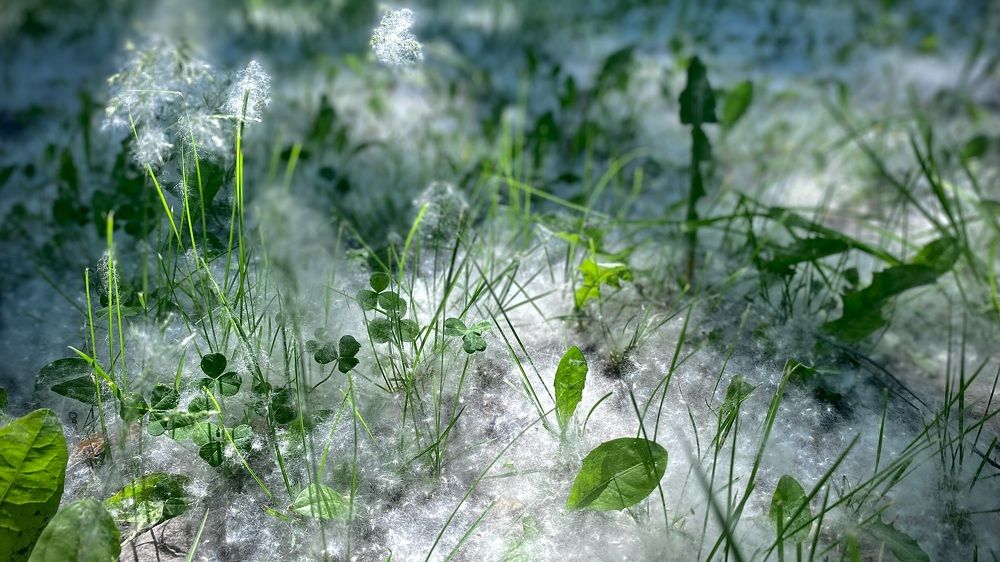 Photograph by Евгений Кузьмин