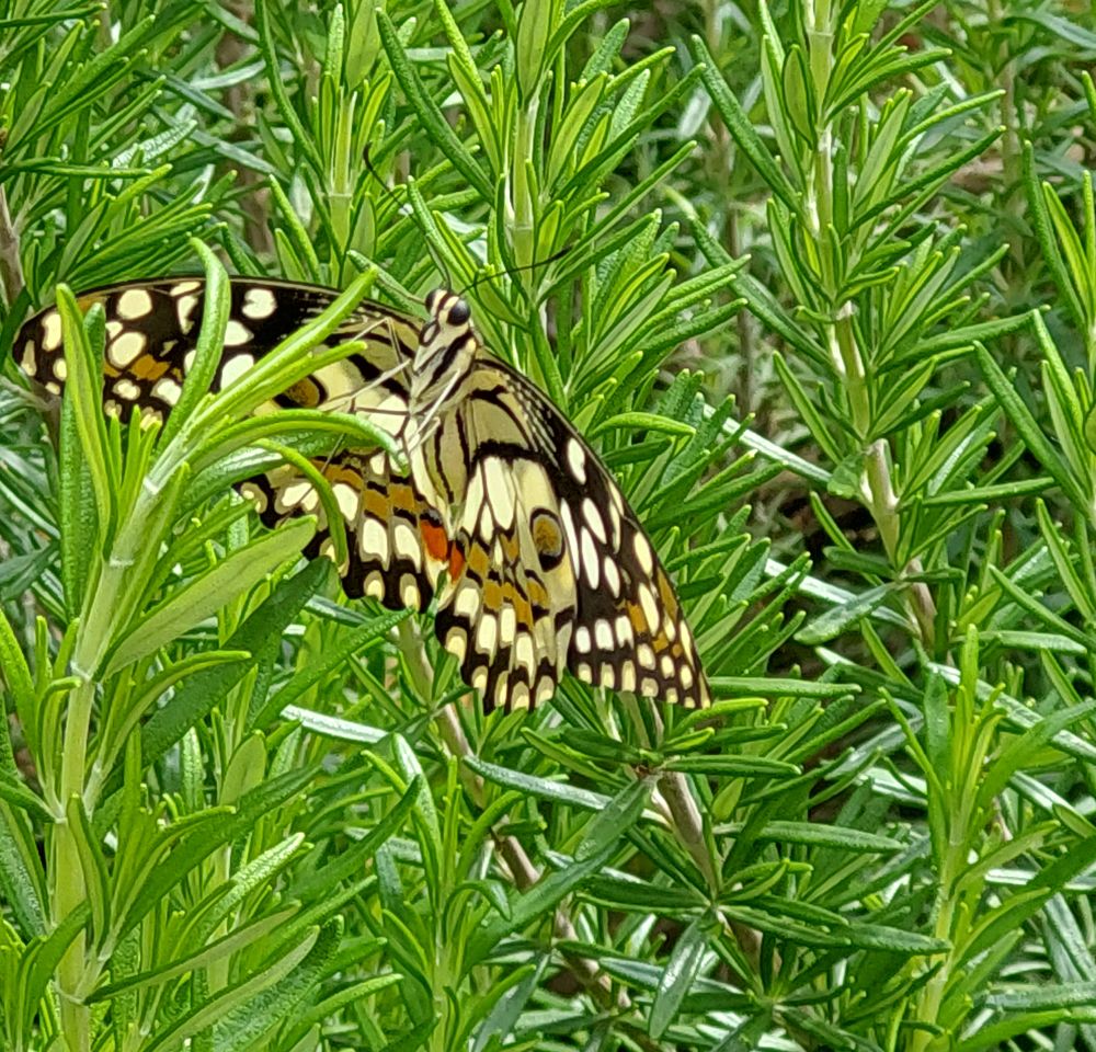 Photograph by Drora Baharal