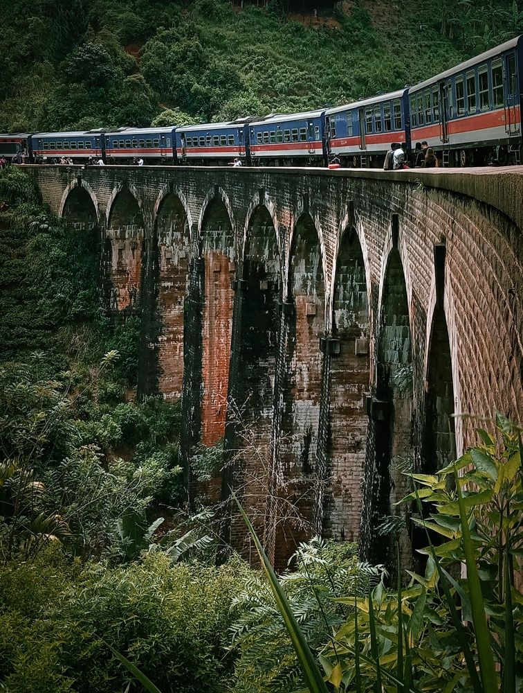 Photograph by Thimira dinisuru