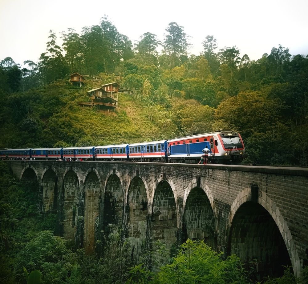 Photograph by Thimira dinisuru