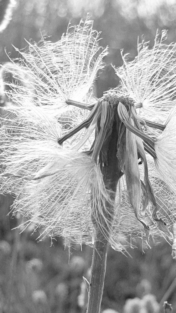 Photograph by Viktorova