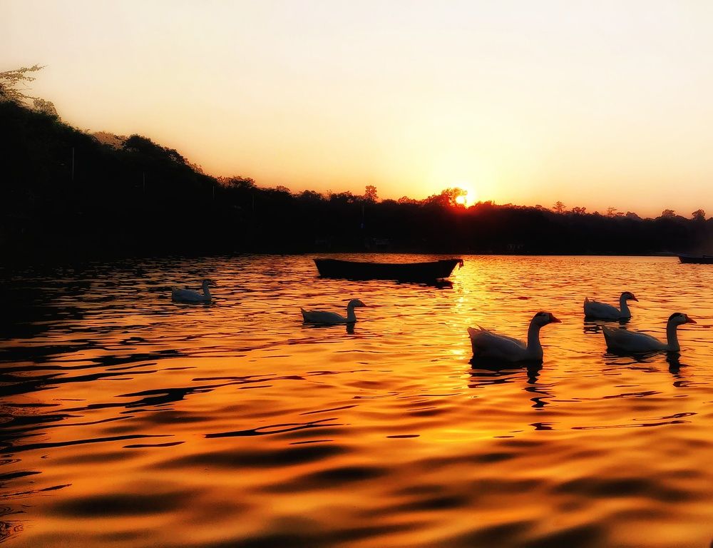 Photograph by Nidhi Singh