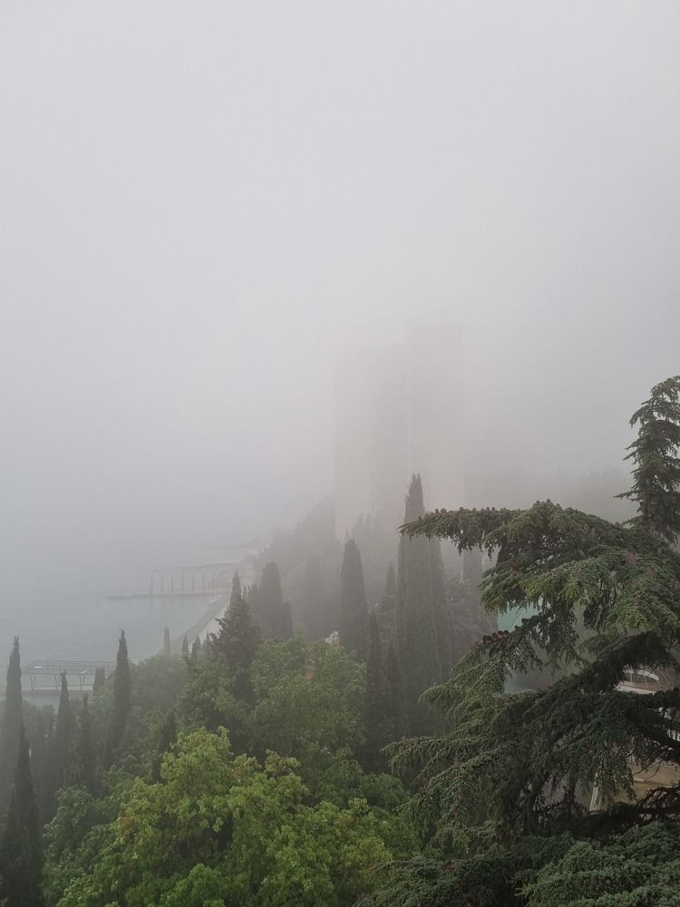 Photograph by Ангелина Шикина