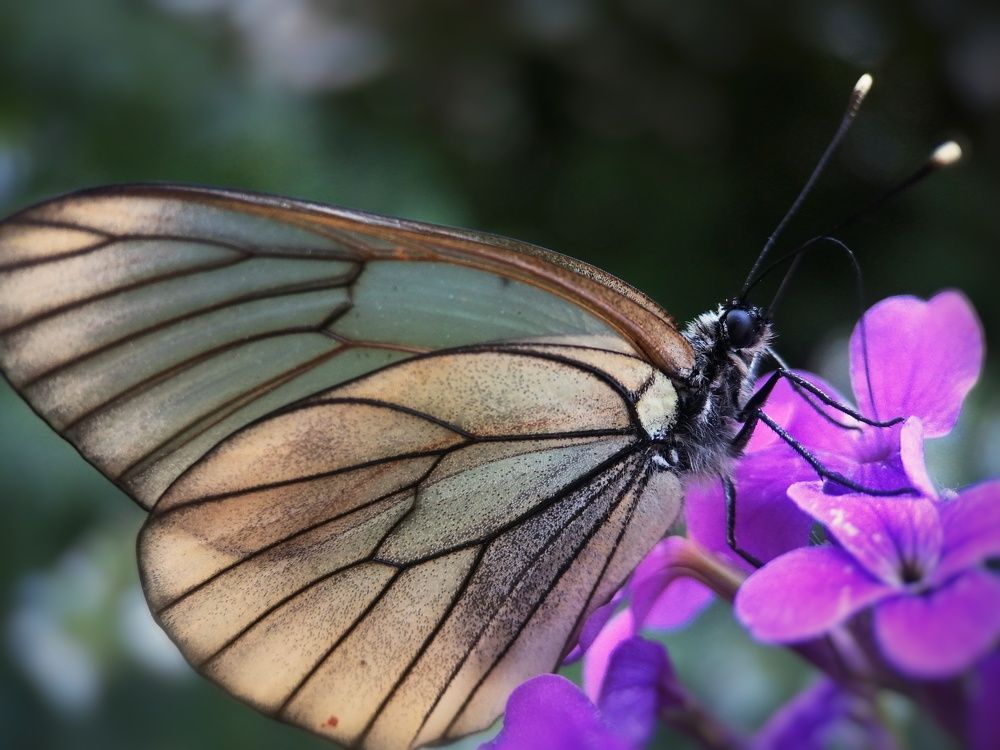 Photograph by Ольга Мокрова