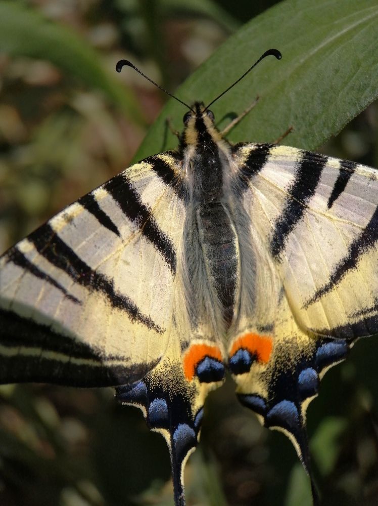 Photograph by Ольга Мокрова