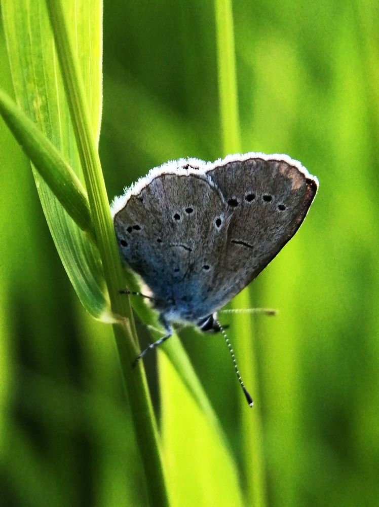 Photograph by Ольга Мокрова