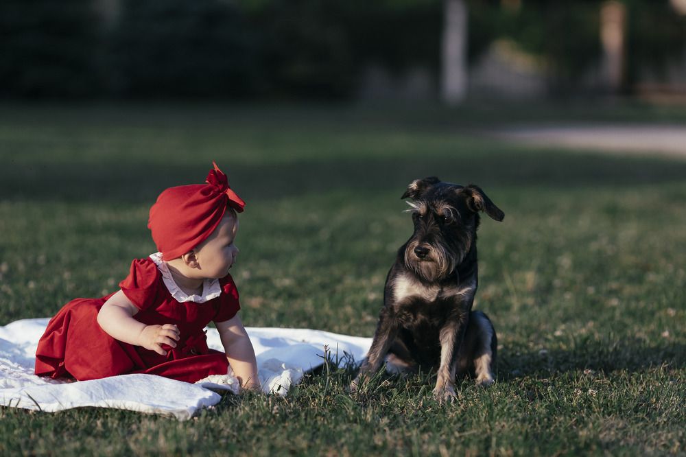 Встреча друзей.