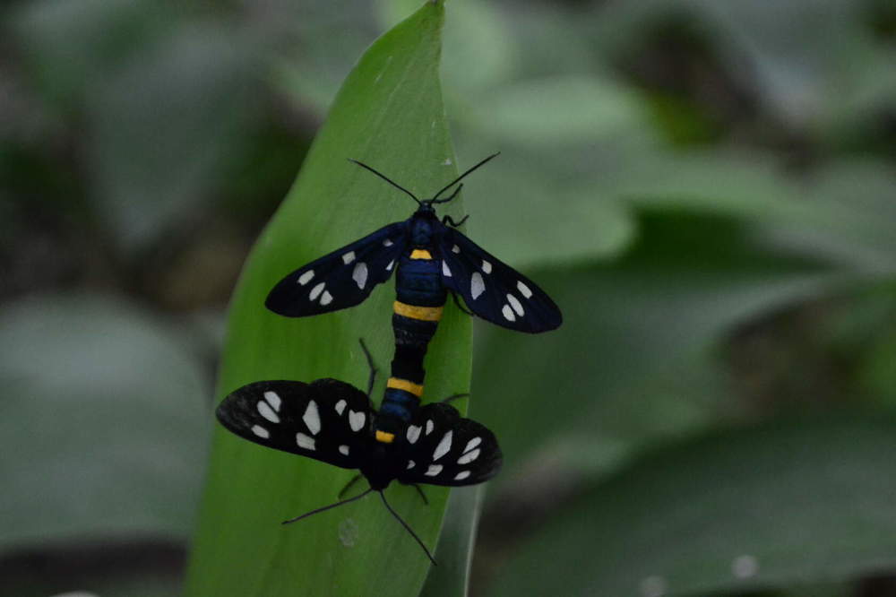 Photograph by Светлана Мазурова