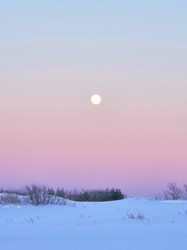 Photograph by Ангелина Шикина
