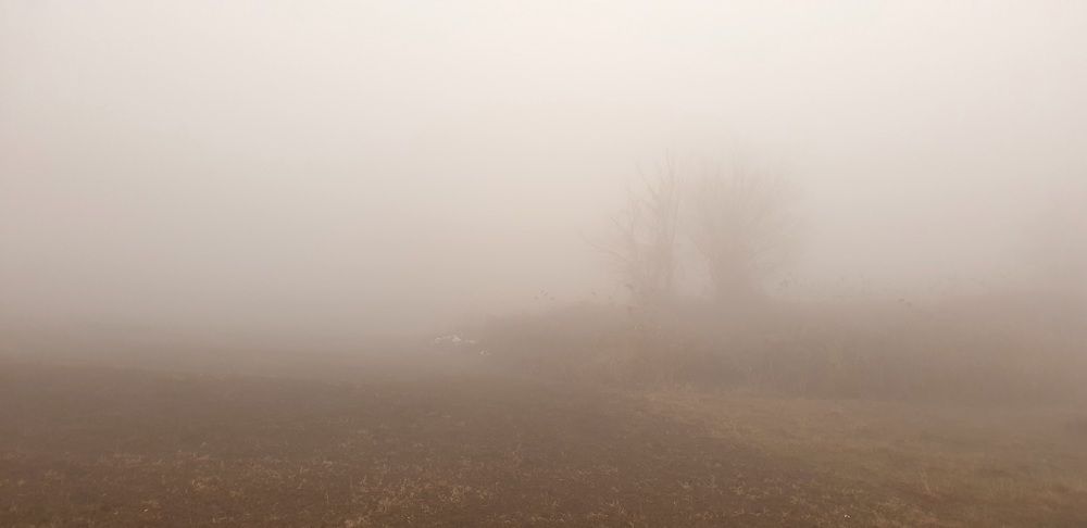 Photograph by Viktorova