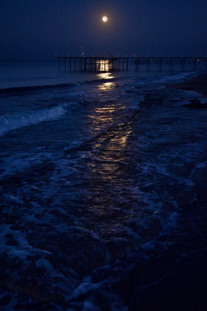 Photograph by Dmitri Izosimov