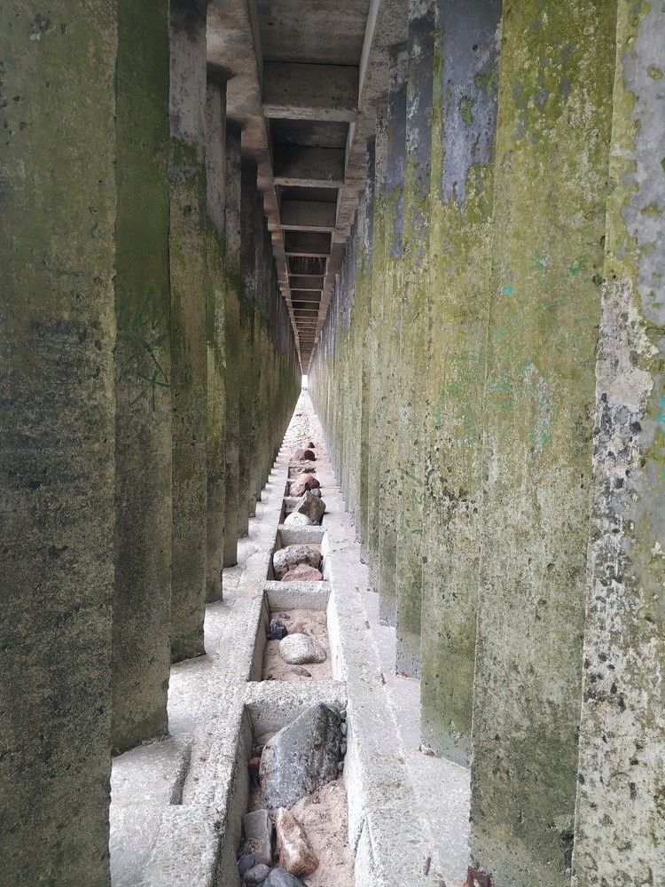 Photograph by Светлана Сафонова