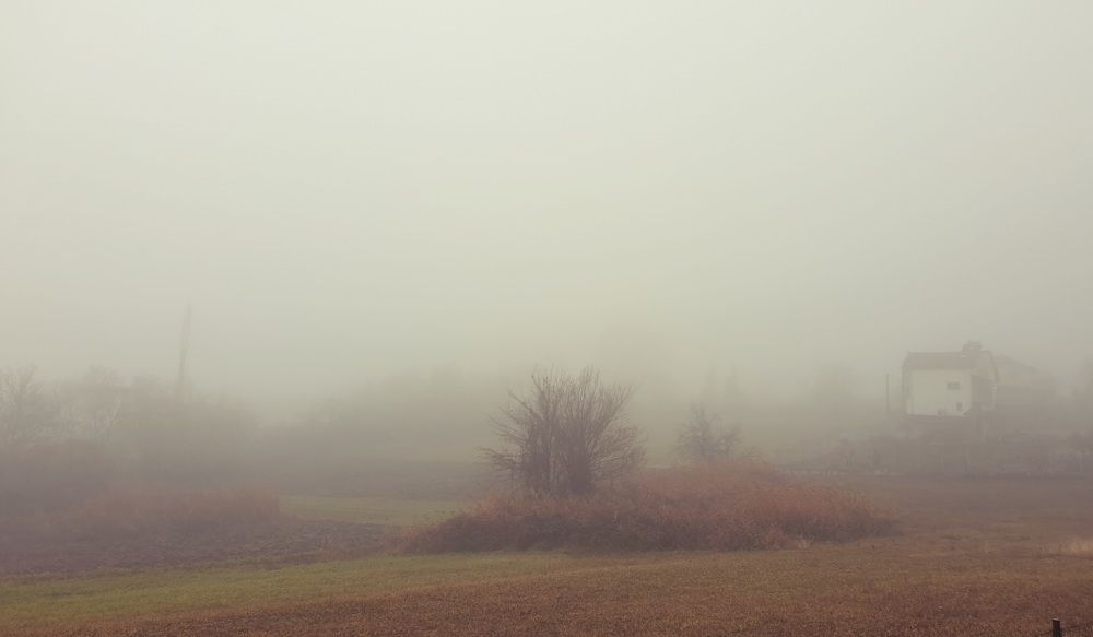 Photograph by Viktorova