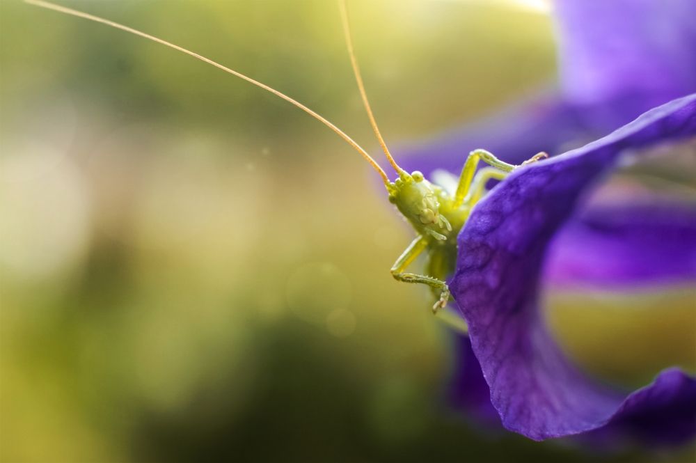 Photograph by Alena Rybakova