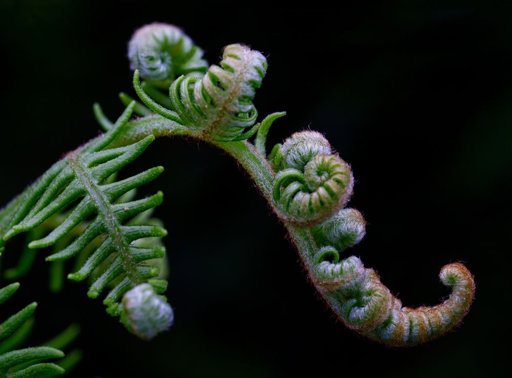 Photograph by Алтуфьев Сергей