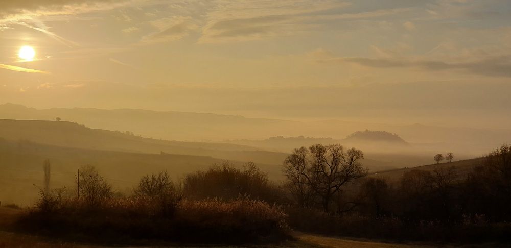 Photograph by Viktorova