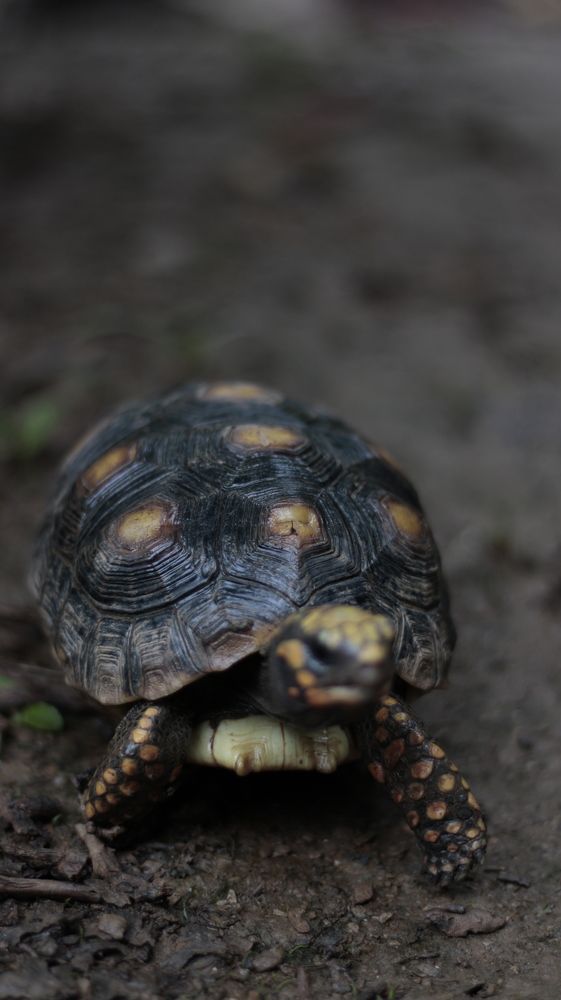 Photograph by nileydi Colmenarez