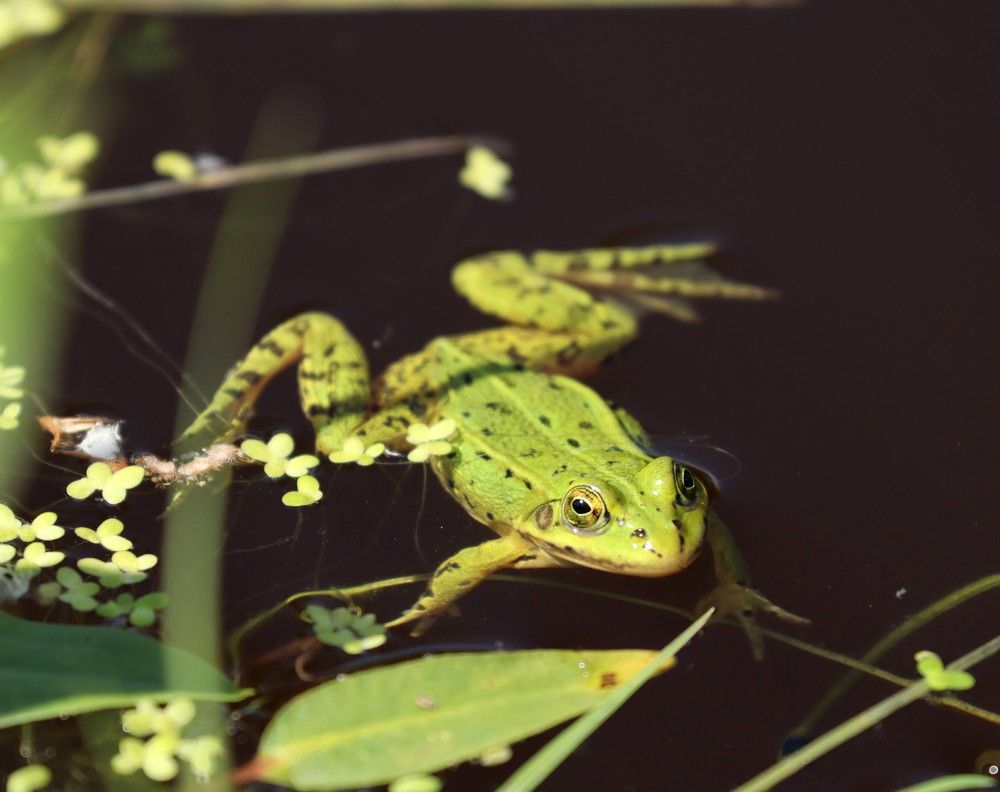 Photograph by Мария