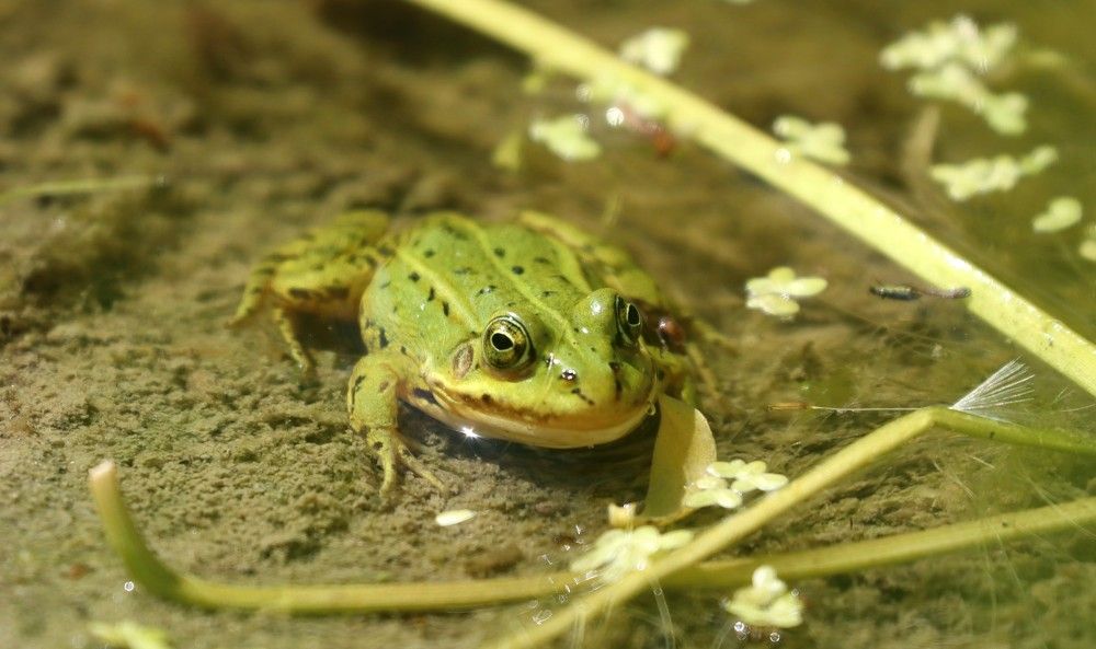 Photograph by Мария