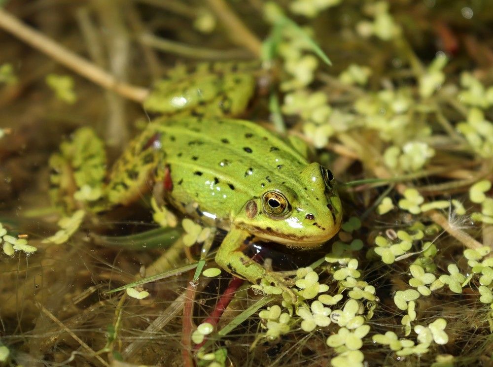 Photograph by Мария